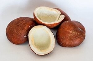 COCONUT DRY (కొబ్బరి కుడుకలు)